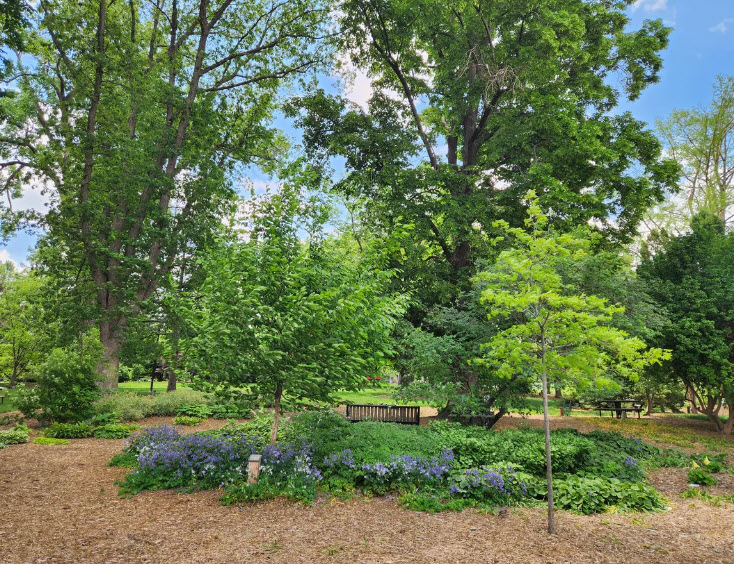 Maxwell Arboretum, United States